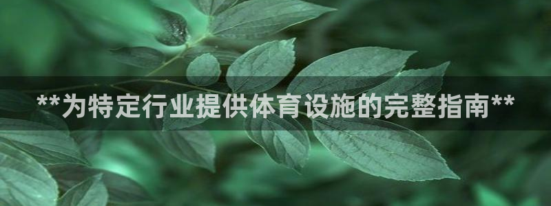 意昂3五金厂：**为特定行业提供体育设施的完整指南*