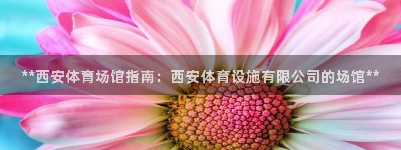 意昂3娱乐首页网站大全：**西安体育场馆指南：西安体