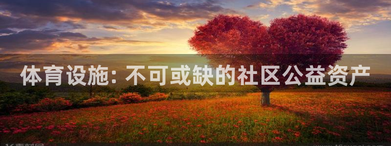 意昂3娱乐网站：体育设施: 不可或缺的社区公益资产