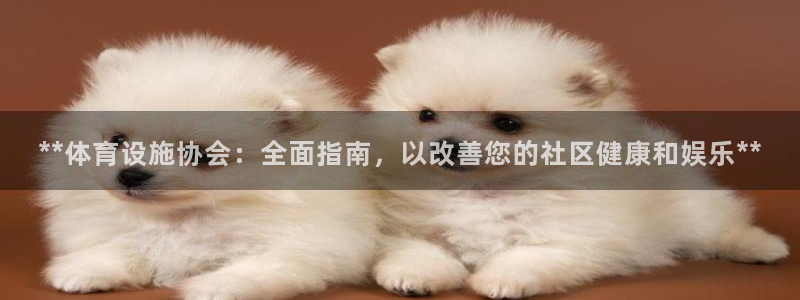 海南意昂体育3发展怎么样：**体育设施协会：全面指南