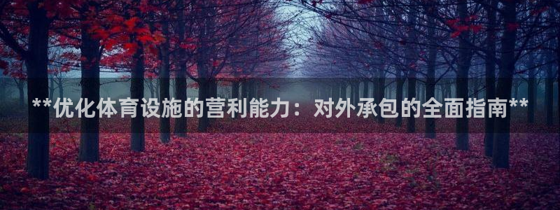 意昂3娱乐40996：**优化体育设施的营利能力：对