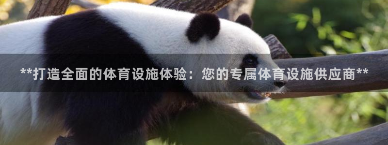 意昂3官网：**打造全面的体育设施体验：您的专属体育