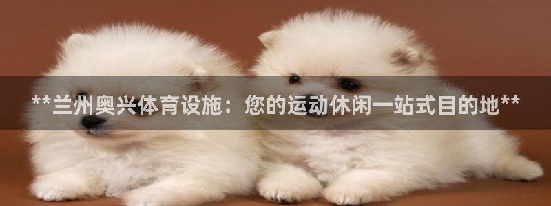 意昂3娱乐是那个系列的台子：**兰州奥兴体育设施：您
