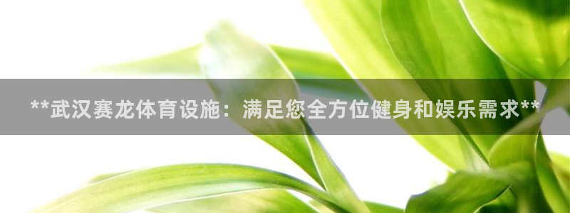 意昂3集团简介：**武汉赛龙体育设施：满足您全方位健