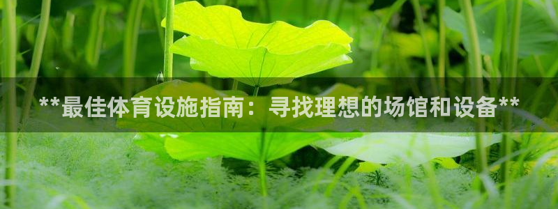 海南意昂体育3发展怎么样：**最佳体育设施指南：寻找