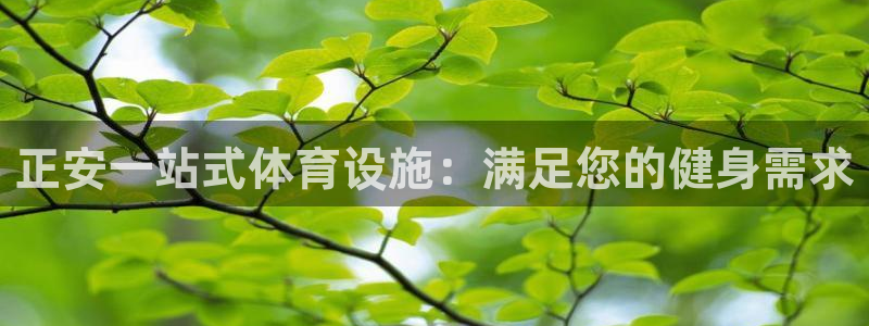 意昂体育3招商：正安一站式体育设施：满足您的健身需求