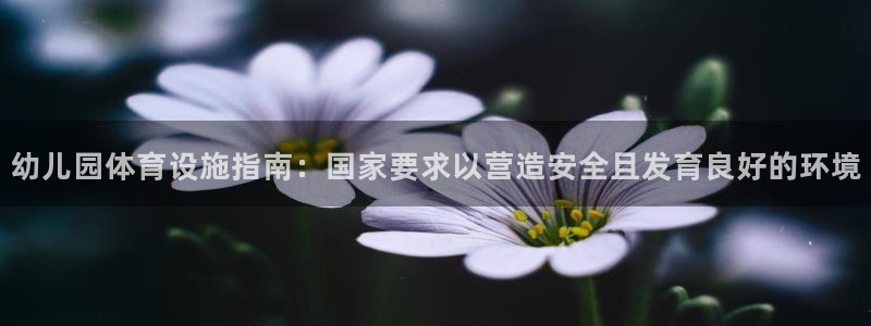 意昂体育3平台假的吗是真的吗：幼儿园体育设施指南：国