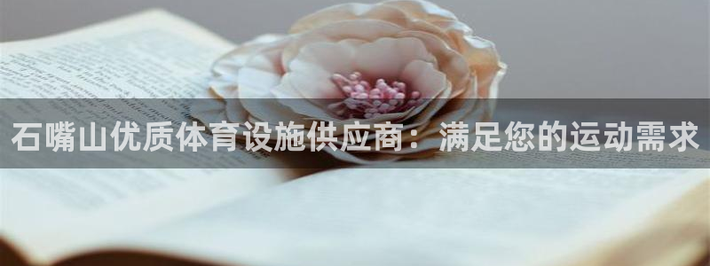 意昂体育3招商电话地址：石嘴山优质体育设施供应商：满