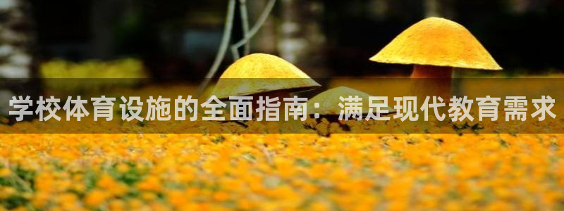意昂3神州：学校体育设施的全面指南：满足现代教育需求
