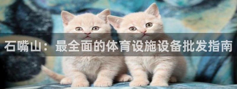 意昂体育3平台注册要钱吗安全吗：石嘴山：最全面的体育