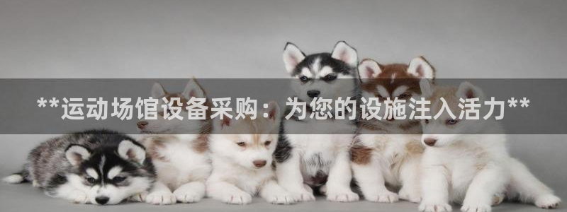 意昂体育3招商电话号码查询：**运动场馆设备采购：为