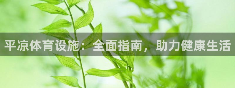 意昂3科技：平凉体育设施：全面指南，助力健康生活