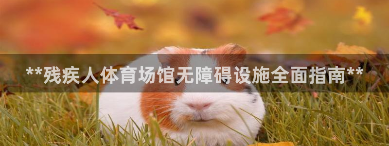 意昂体育3招商电话是多少号码：**残疾人体育场馆无障