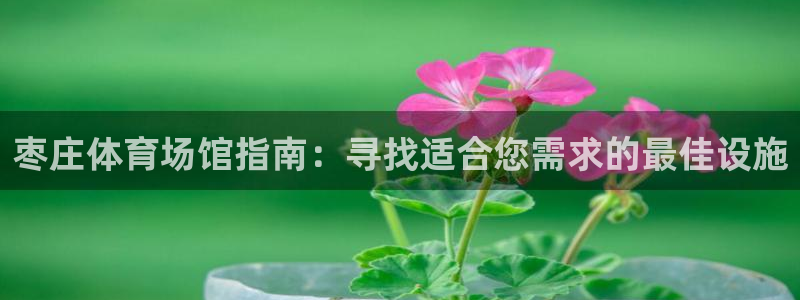 意昂体育3招商电话地址是多少：枣庄体育场馆指南：寻找