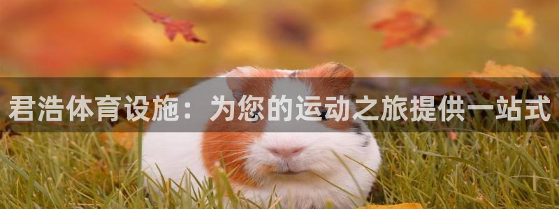 意昂体育3娱乐：君浩体育设施：为您的运动之旅提供一站