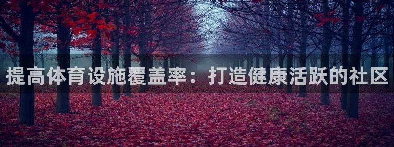 意昂体育3平台注册流程图：提高体育设施覆盖率：打造健