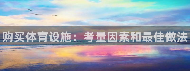 意昂3娱乐是那个系列的台子：购买体育设施：考量因素和