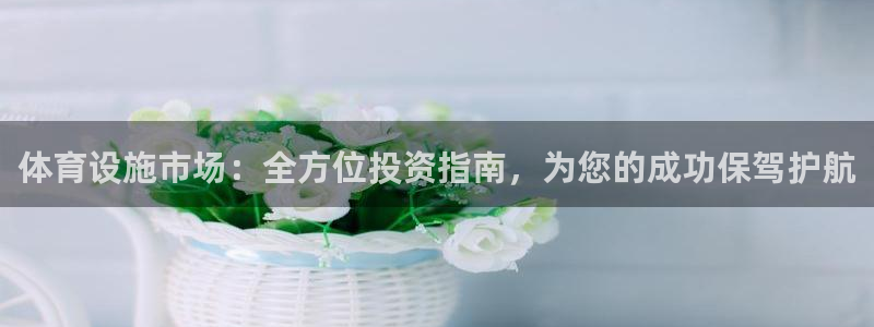 意昂体育3平台注册流程图：体育设施市场：全方位投资指
