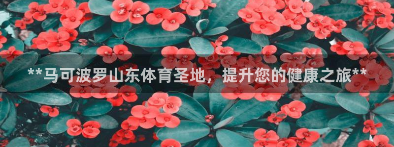 意昂体育3联系电话：**马可波罗山东体育圣地，提升您