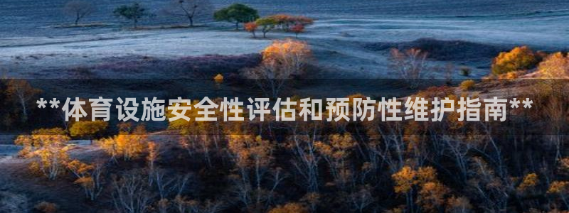意昂体育3平台注册流程图：**体育设施安全性评估和预