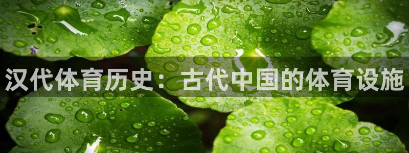 海南意昂体育3发展怎么样：汉代体育历史：古代中国的体