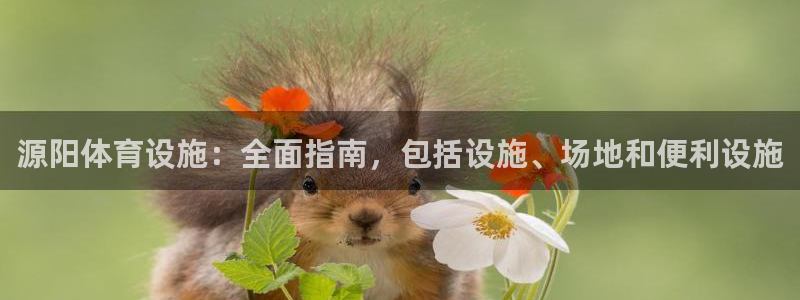 意昂体育3招商电话号码是多少号：源阳体育设施：全面指