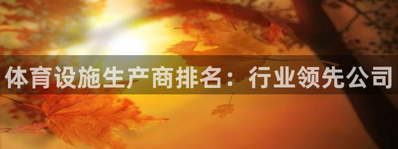 意昂3集团E.ON：体育设施生产商排名：行业领先公司