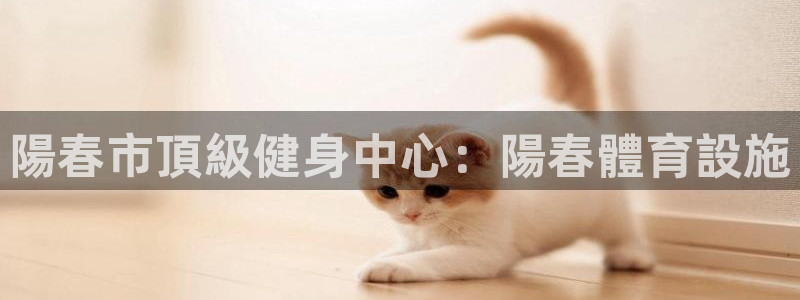 意昂体育3注册：陽春市頂級健身中心：陽春體育設施