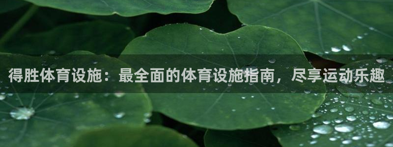 注册意昂3：得胜体育设施：最全面的体育设施指南，尽享