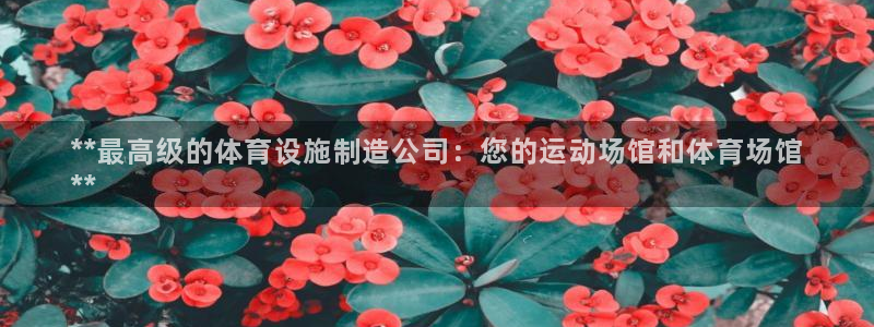 意昂体育3招商：**最高级的体育设施制造公司：您的运