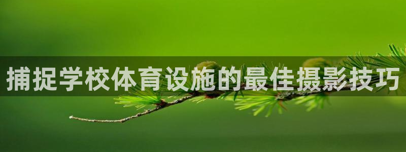 意昂体育3招商电话号码是多少啊：捕捉学校体育设施的最