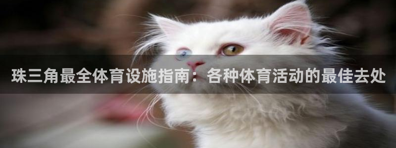 意昂体育3平台假的吗是真的吗：珠三角最全体育设施指南
