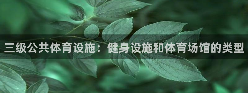 意昂体育3平台注册：三级公共体育设施：健身设施和体育