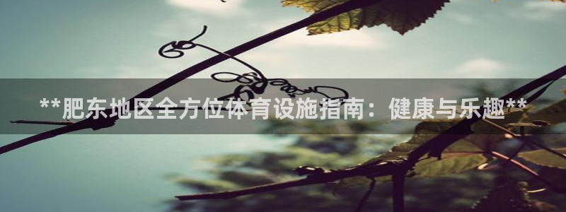 意昂体育3招商：**肥东地区全方位体育设施指南：健康
