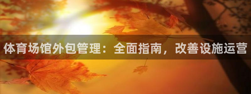 海南意昂体育3：体育场馆外包管理：全面指南，改善设施
