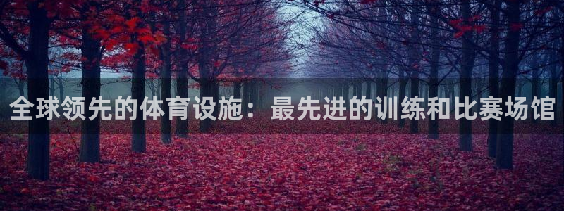 意昂3新能源：全球领先的体育设施：最先进的训练和比赛