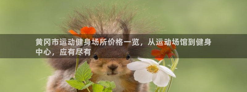 意昂3娱乐首页网站大全：黄冈市运动健身场所价格一览，
