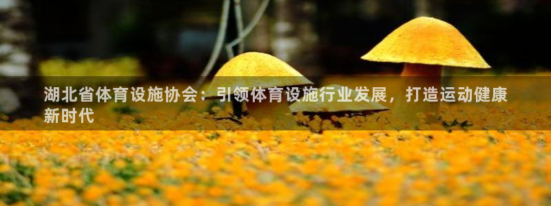 意昂3开户：湖北省体育设施协会：引领体育设施行业发展