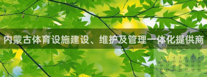 意昂体育3平台APP：内蒙古体育设施建设、维护及管理