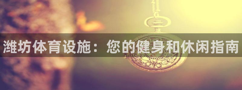 意昂体育3平台注册：潍坊体育设施：您的健身和休闲指南