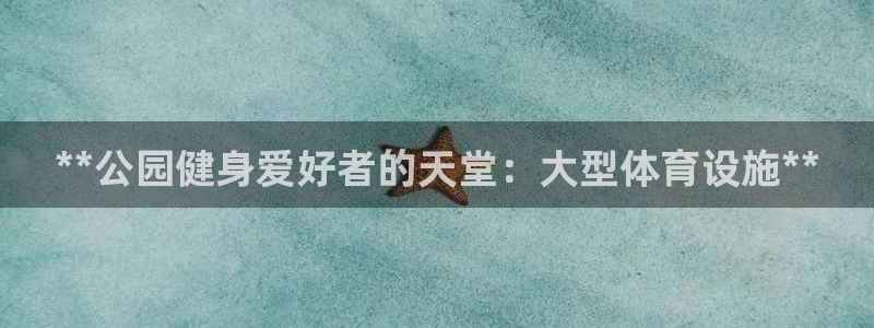 意昂3代理：**公园健身爱好者的天堂：大型体育设施*