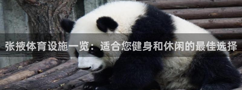 意昂体育3招商电话地址：张掖体育设施一览：适合您健身