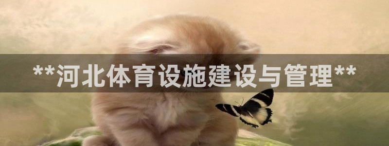 意昂体育3平台注册：**河北体育设施建设与管理**