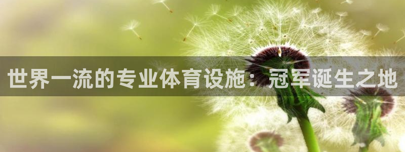 意昂体育3招商电话：世界一流的专业体育设施：冠军诞生