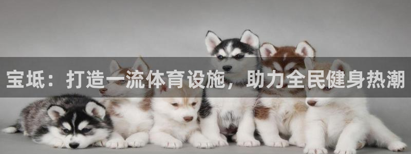 意昂体育3招商电话地址查询：宝坻：打造一流体育设施，