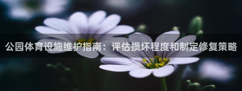 意昂3娱乐下载：公园体育设施维护指南：评估损坏程度和