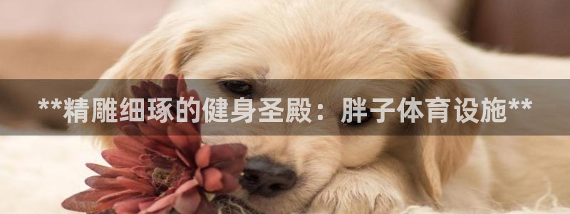 意昂体育3开户：**精雕细琢的健身圣殿：胖子体育设施