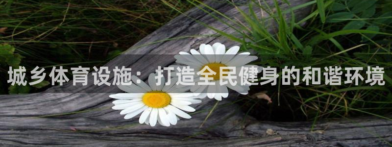 意昂3集团官网首页网址：城乡体育设施：打造全民健身的
