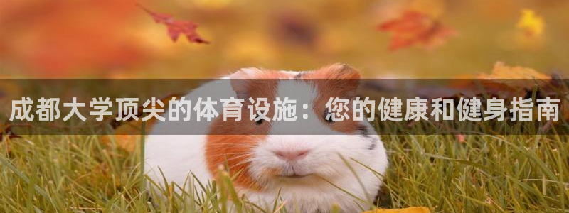 意昂体育3平台注册要钱吗是真的吗：成都大学顶尖的体育