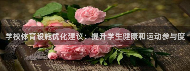 意昂3娱乐首页官网下载：学校体育设施优化建议：提升学